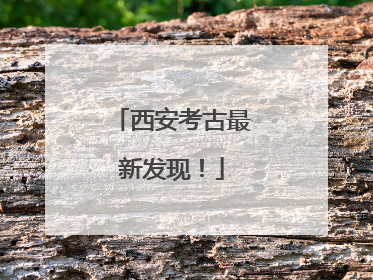 西安考古最新发现！