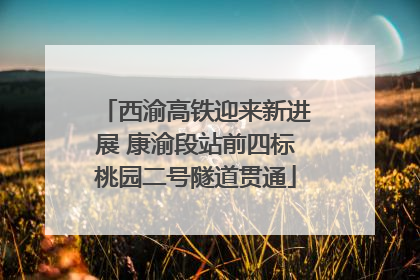 西渝高铁迎来新进展 康渝段站前四标桃园二号隧道贯通