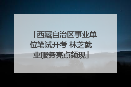 西藏自治区事业单位笔试开考 林芝就业服务亮点频现