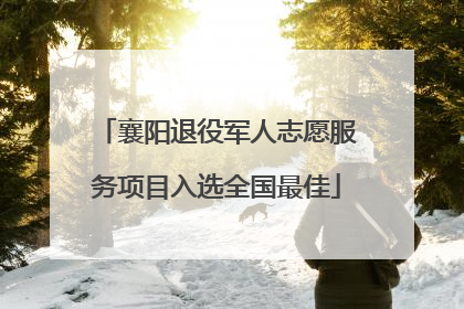 襄阳退役军人志愿服务项目入选全国最佳