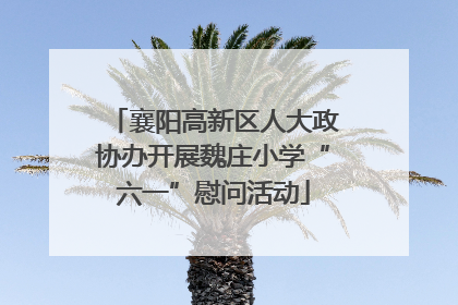 襄阳高新区人大政协办开展魏庄小学“六一”慰问活动