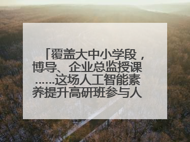覆盖大中小学段，博导、企业总监授课……这场人工智能素养提升高研班参与人次达30万
