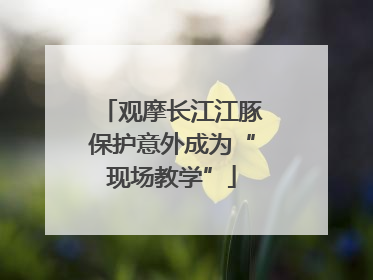 观摩长江江豚保护意外成为“现场教学”