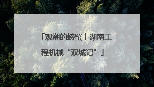 观潮的螃蟹丨湖南工程机械“双城记”