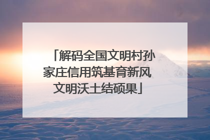 解码全国文明村孙家庄信用筑基育新风文明沃土结硕果