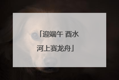 迎端午 酉水河上赛龙舟
