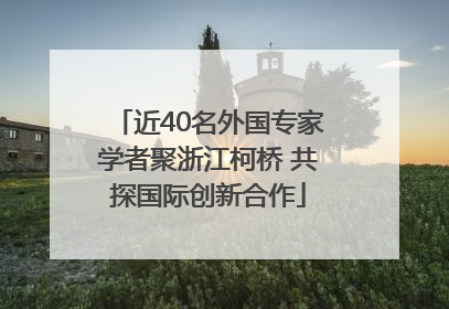 近40名外国专家学者聚浙江柯桥 共探国际创新合作