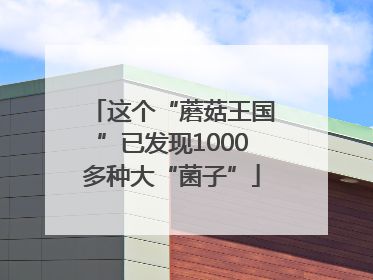 这个“蘑菇王国”已发现1000多种大“菌子”