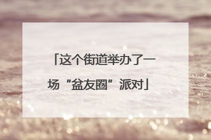 这个街道举办了一场“盆友圈”派对