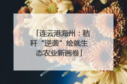 连云港海州：秸秆“逆袭”绘就生态农业新画卷