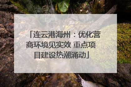 连云港海州：优化营商环境见实效 重点项目建设热潮涌动