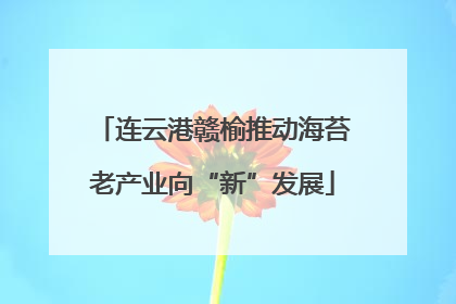 连云港赣榆推动海苔老产业向“新”发展