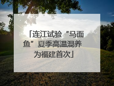 连江试验“马面鱼”夏季高温混养 为福建首次