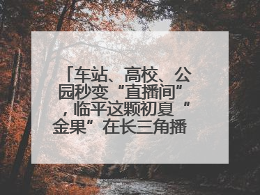 车站、高校、公园秒变“直播间”，临平这颗初夏“金果”在长三角播撒甜美