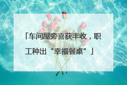车间屋旁喜获丰收，职工种出“幸福餐桌”