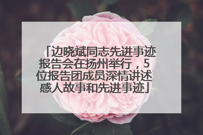 边晓斌同志先进事迹报告会在扬州举行，5位报告团成员深情讲述感人故事和先进事迹
