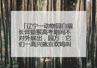 辽宁一动物园白眉长臂猿猴高考期间不对外展出，园方：它们一高兴就喜欢鸣叫，怕影响考试