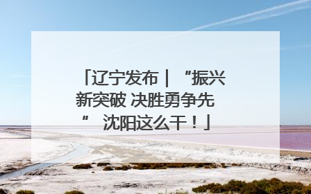 辽宁发布｜“振兴新突破 决胜勇争先” 沈阳这么干！