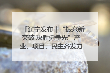 辽宁发布｜“振兴新突破 决胜勇争先”产业、项目、民生齐发力 葫芦岛按下决胜之年“加速键”