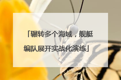 辗转多个海域，舰艇编队展开实战化演练