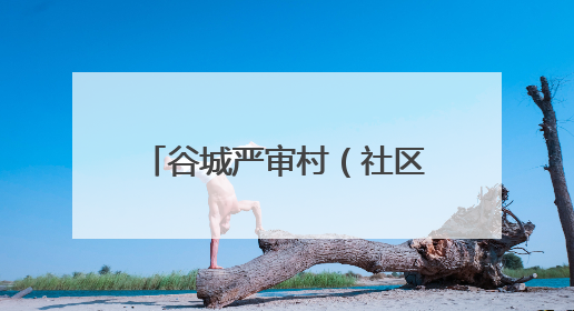 谷城严审村（社区）协助事项 厘清边界为基层减负
