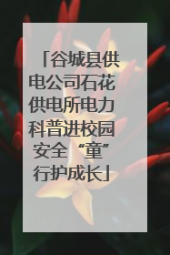 谷城县供电公司石花供电所电力科普进校园安全“童”行护成长