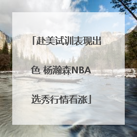 赴美试训表现出色 杨瀚森NBA选秀行情看涨