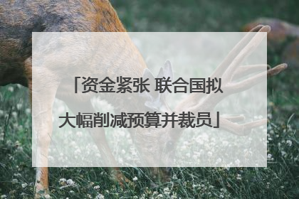 资金紧张 联合国拟大幅削减预算并裁员