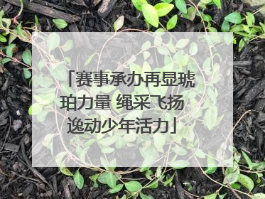 赛事承办再显琥珀力量 绳采飞扬逸动少年活力