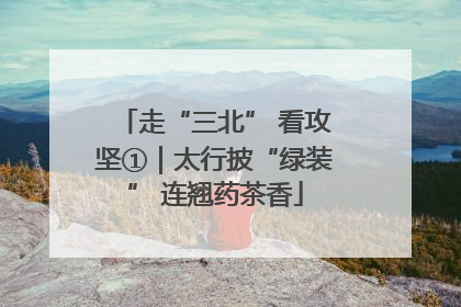 走“三北” 看攻坚①｜太行披“绿装” 连翘药茶香