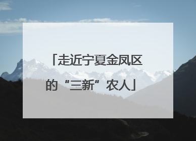 走近宁夏金凤区的“三新”农人