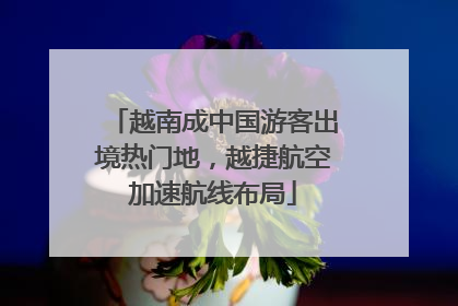 越南成中国游客出境热门地，越捷航空加速航线布局