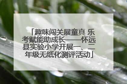 趣味闯关展童真 乐考赋能助成长——怀远县实验小学开展一、二年级无纸化测评活动