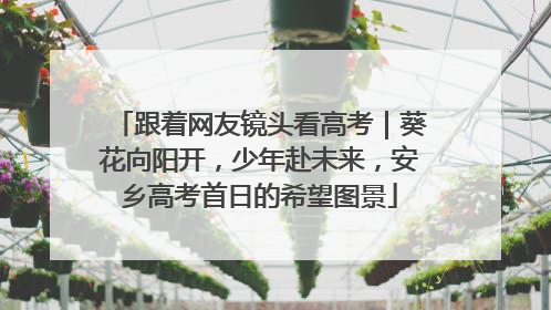 跟着网友镜头看高考｜葵花向阳开，少年赴未来，安乡高考首日的希望图景