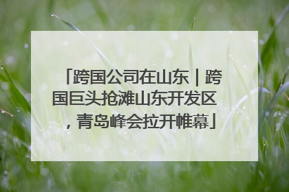 跨国公司在山东｜跨国巨头抢滩山东开发区，青岛峰会拉开帷幕