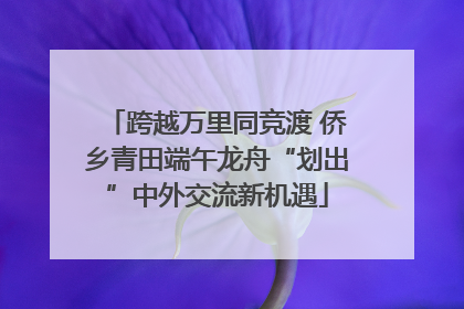 跨越万里同竞渡 侨乡青田端午龙舟“划出”中外交流新机遇