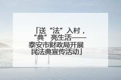 送“法”入村，“典”亮生活——泰安市财政局开展民法典宣传活动