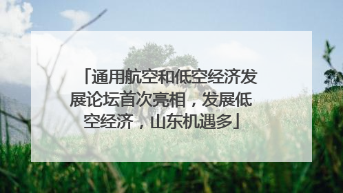 通用航空和低空经济发展论坛首次亮相，发展低空经济，山东机遇多