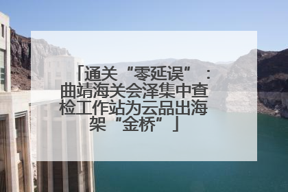 通关“零延误”：曲靖海关会泽集中查检工作站为云品出海架“金桥”