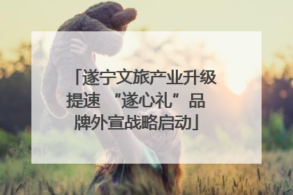 遂宁文旅产业升级提速 “遂心礼”品牌外宣战略启动