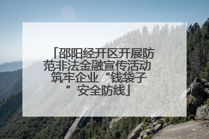 邵阳经开区开展防范非法金融宣传活动 筑牢企业“钱袋子”安全防线