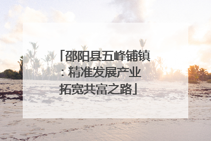 邵阳县五峰铺镇：精准发展产业 拓宽共富之路