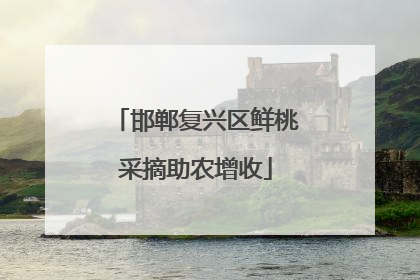 邯郸复兴区鲜桃采摘助农增收