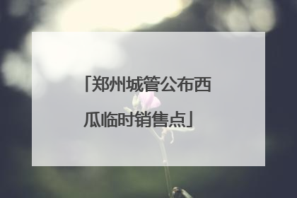 郑州城管公布西瓜临时销售点