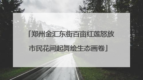 郑州金汇东街百亩红莲怒放 市民花间起舞绘生态画卷