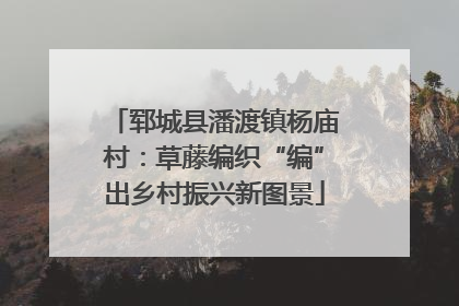 郓城县潘渡镇杨庙村：草藤编织“编”出乡村振兴新图景