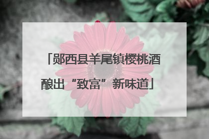 郧西县羊尾镇樱桃酒酿出“致富”新味道