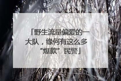 野生流量偏爱的一大队，缘何有这么多“爆款”民警