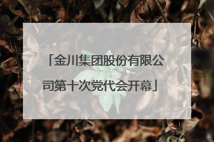 金川集团股份有限公司第十次党代会开幕