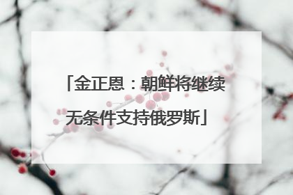 金正恩：朝鲜将继续无条件支持俄罗斯